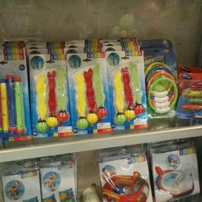 寓教于乐 邯郸宠物用品如何借游泳教学与专业教具开发宠物智力