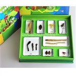 南宁本源工艺品 打造教学演示用品与精致工艺品的专业厂商